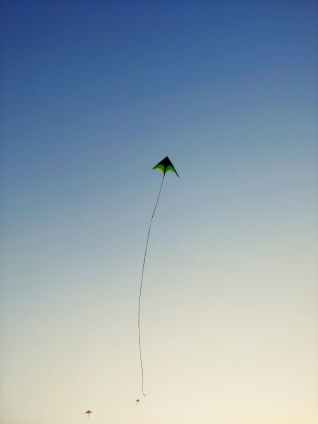 green kite flying on sky